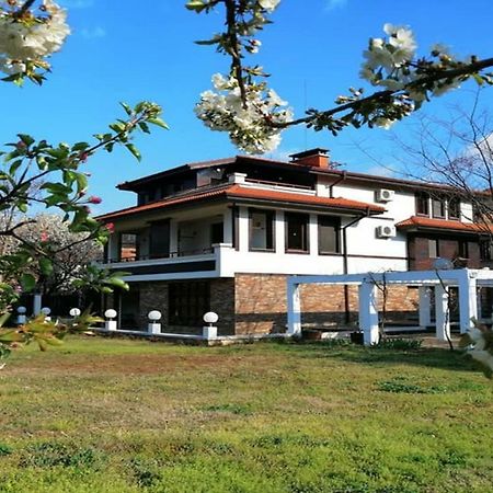 Къща За Гости "Мечта" Lyutibrod Εξωτερικό φωτογραφία