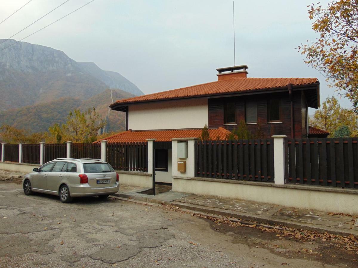 Къща За Гости "Мечта" Lyutibrod Εξωτερικό φωτογραφία