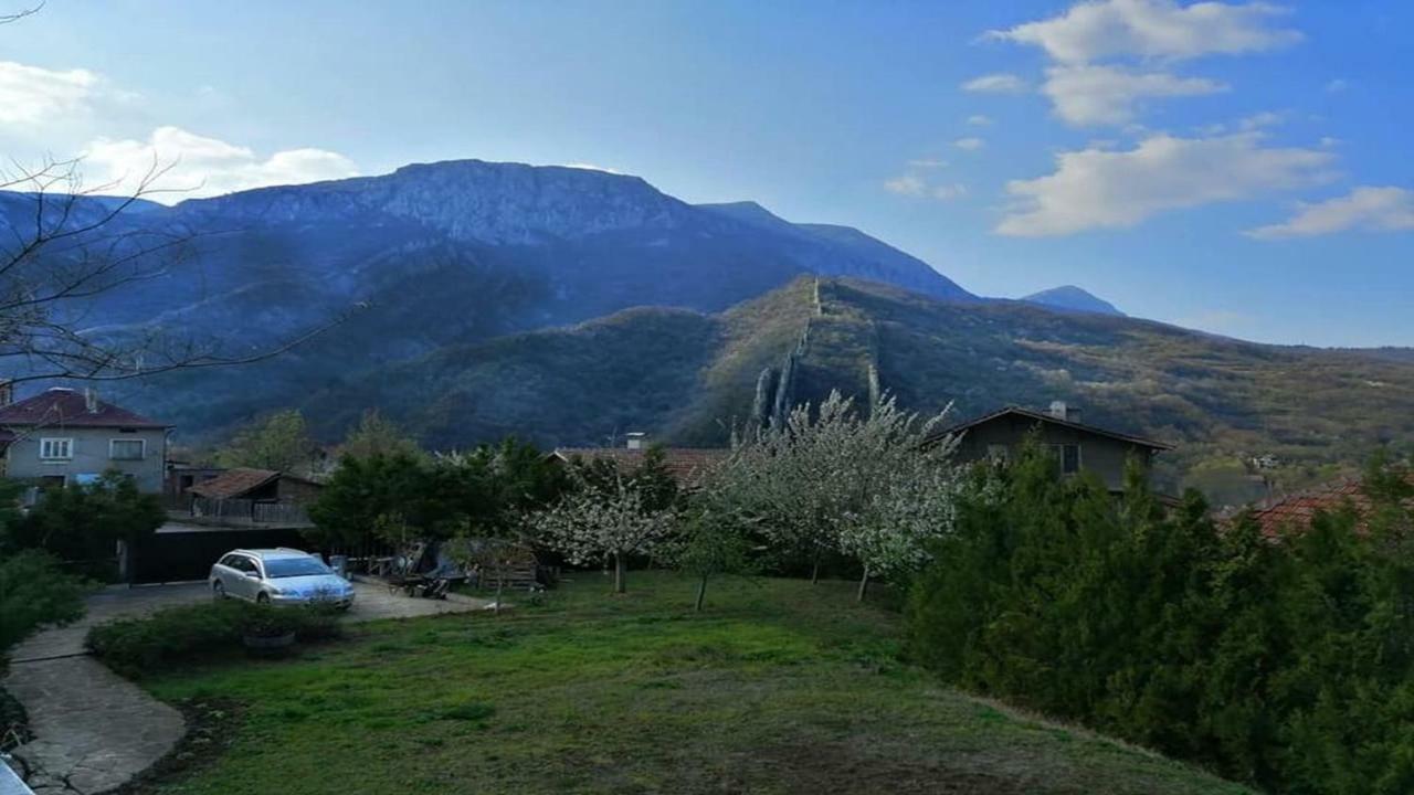 Къща За Гости "Мечта" Lyutibrod Εξωτερικό φωτογραφία